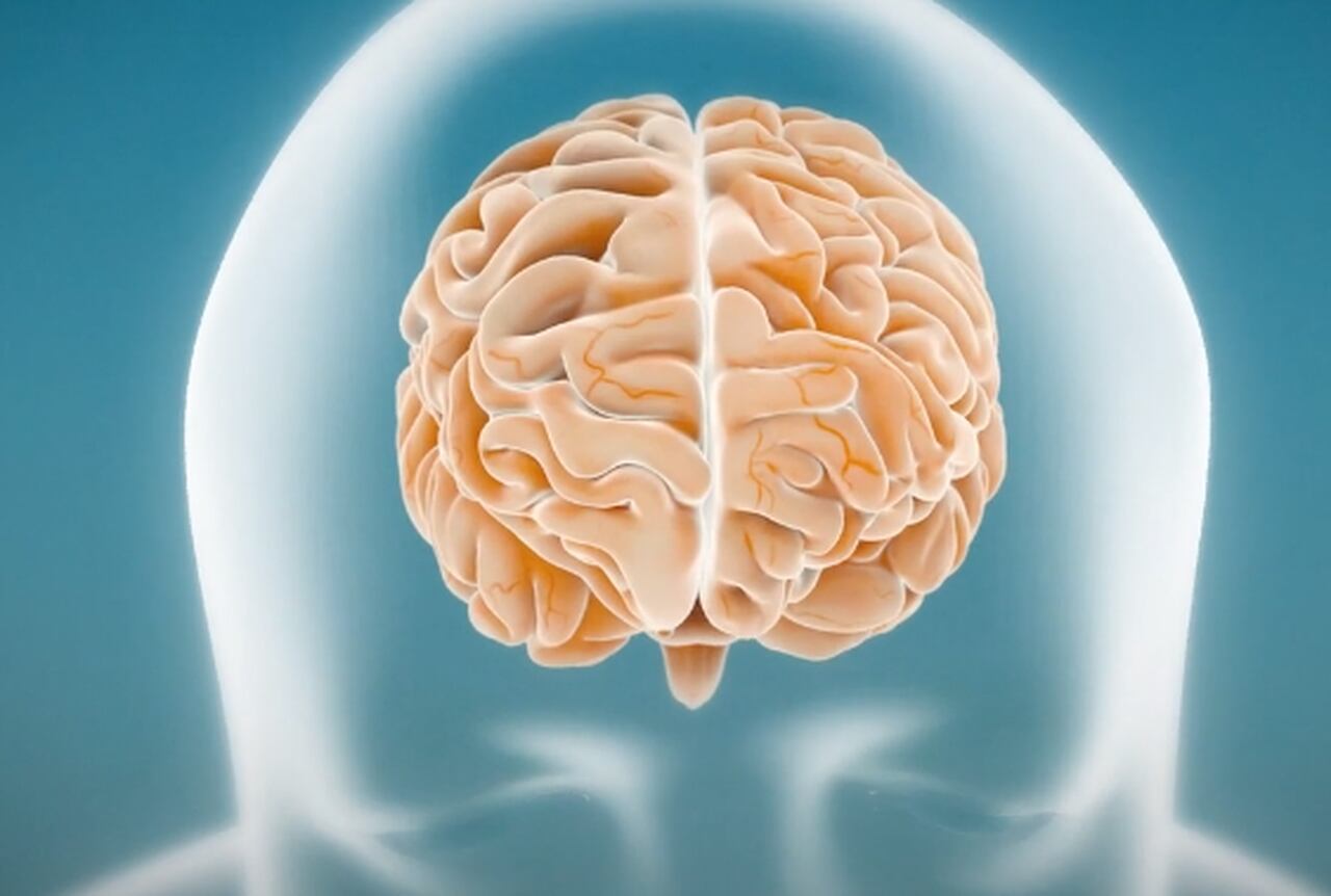 PRESS — Is gum disease tied to Alzheimer’s? If so, that might be a clue ...